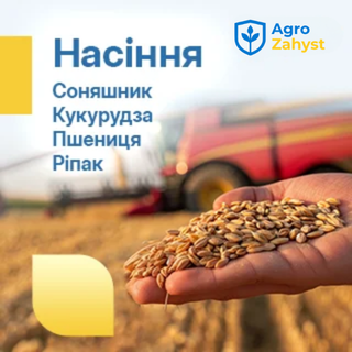  Насіння від AgroZahyst