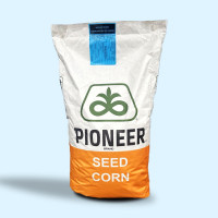 ПР37У12 ФАО 390 Піонер, насіння кукурудзи PR37Y12 Pioneer 22 кг
