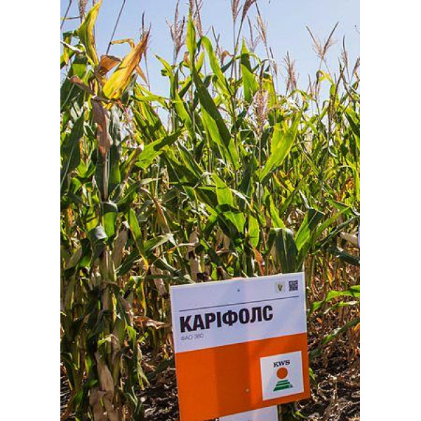 Каріфолс ФАО 380 КВС, насіння кукурудзи KWS 14 кг