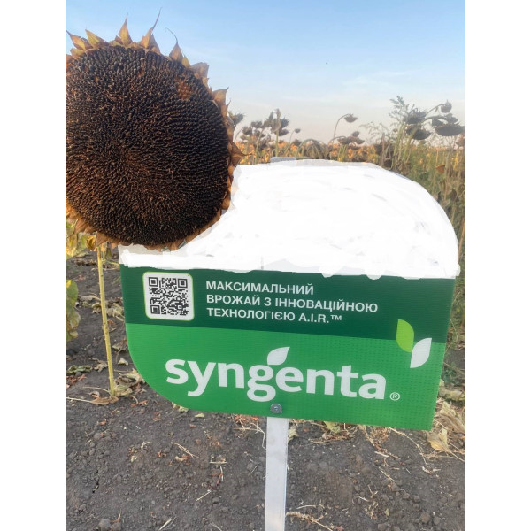 Сурелі HTS Насіння соняшника Sureli HTS Syngenta, Сингента 10 кг