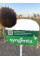 Сузука HTS Syngenta (під Гранстар), насіння соняшника Сингента 10 кг