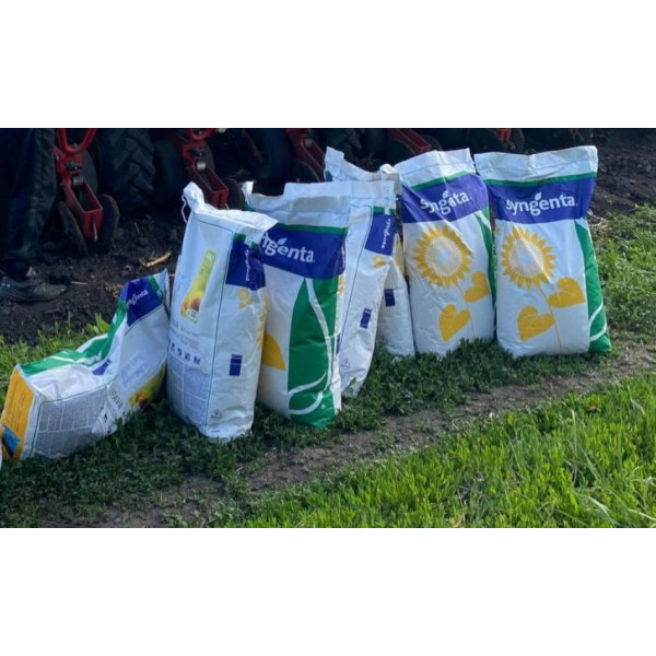 Таленто Syngenta (під Євро-Лайтнінг), насіння соняшника Сингента 10 кг