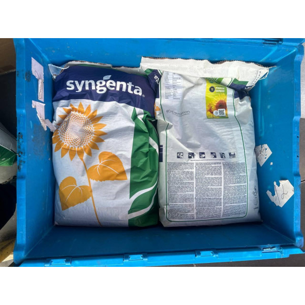 Субео Насіння соняшника Sybeo Syngenta, Сингента 10 кг