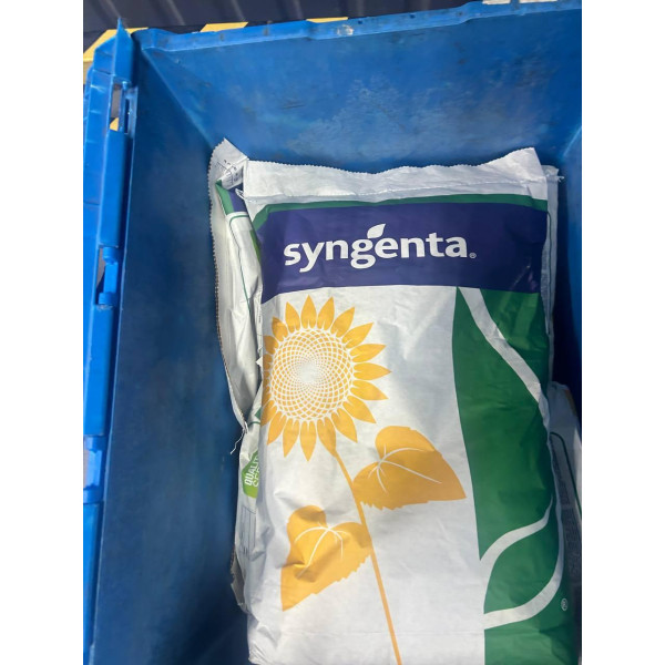 СИ Отелло Syngenta (Класичний) насіння соняшника SY Otello Syngenta,10 кг