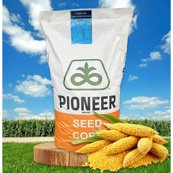 П9170 ФАО 320 Піонер, насіння кукурудзи P9170 Pioneer 22 кг