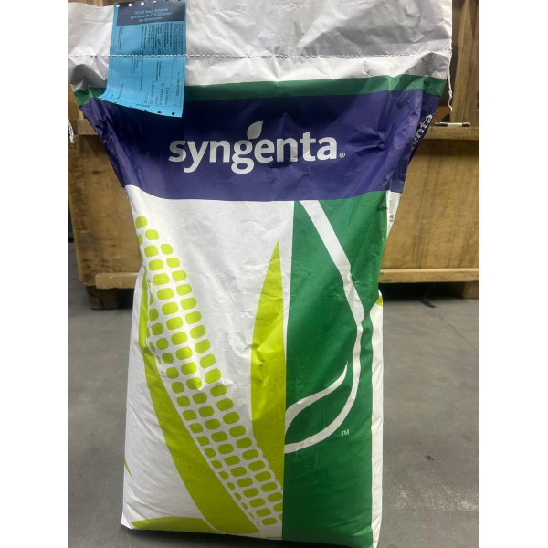 СИ Феномен ФАО 220 Сингента, насіння кукурудзи Syngenta 22 кг