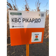 Рікардо ФАО 320 КВС, насіння кукурудзи KWS 14 кг