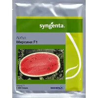 Насіння кавуна «Мірсіні F1» Syngenta 1000 шт. (Сингента)