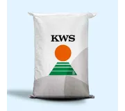 Насіння озимої пшениці, KWS (КВС)