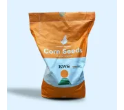 Насіння кукурудзи КВС (KWS)