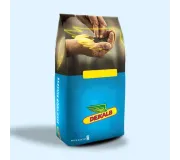 Насіння озимого ріпаку Monsanto (Монсанто)