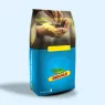 Насіння озимого ріпаку Monsanto (Монсанто)