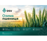 Насіння озимої пшениці DSV (ДСВ)