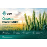 Насіння озимої пшениці DSV (ДСВ)