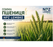 Насіння озимої пшениці NPZ Lembke (НПЗ Лембке)