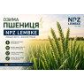 Насіння озимої пшениці NPZ Lembke (НПЗ Лембке)