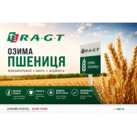 РЖТ Практік, RAGT Semences насіння озимої пшениці, RAGT Semences (РАЖТ Семенс), безоста