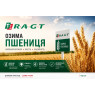 Насіння озимої пшениці RAGT Semences (РАЖТ Семенс)