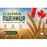 Арвадо, насіння Канадської озимої пшениці, Еліта, остиста
