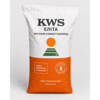 Джерсі KWS (КВС) Еліта насіння озимої пшениці, безоста
