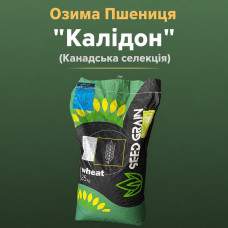 Калідон насіння канадської озимої пшениці  безоста Еліта