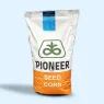 Насіння кукурудзи Pioneer (Піонер)