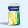 Насіння кукурудзи Сінгента (Syngenta)
